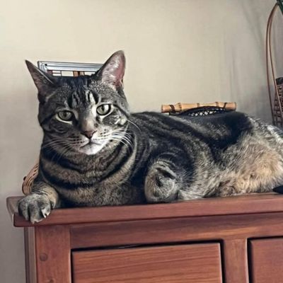 In-home pet sitting Eagan MN