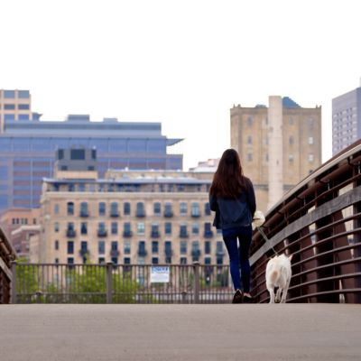 Professional Dog Walkers & Pet Sitters in the South Metro Twin Cities area Since 1991